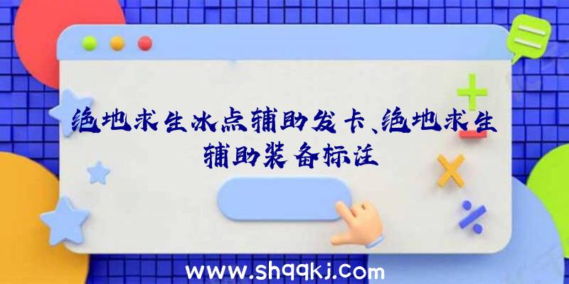 绝地求生冰点辅助发卡、绝地求生